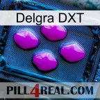 Delgra DXT 04